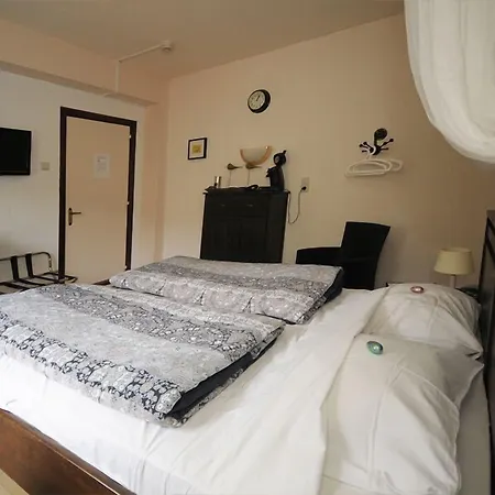 فندق مبيت وإفطار De Dael 3*